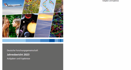 dfg jahresbericht 2023