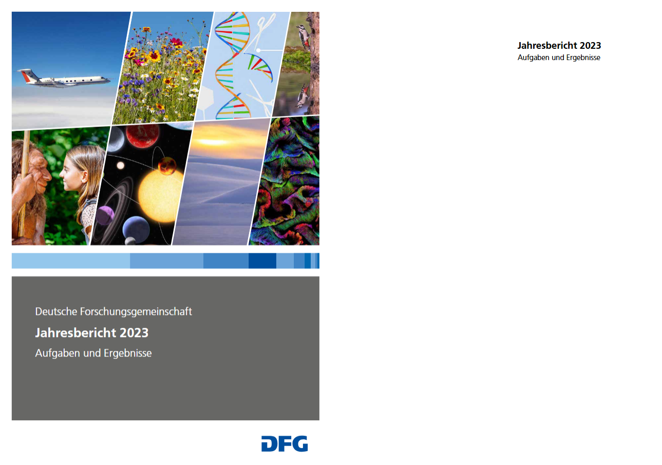 dfg jahresbericht 2023